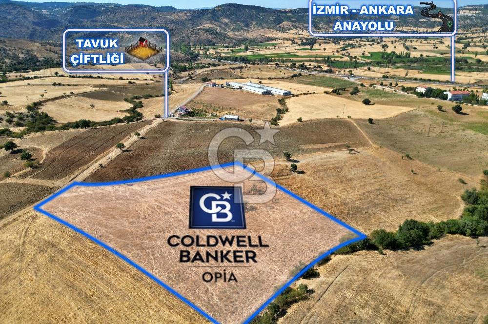 CB OPİA'DAN '' ŞAŞIRMAYIN GERÇEKTEN BU FİYATA SATIYORUZ ''