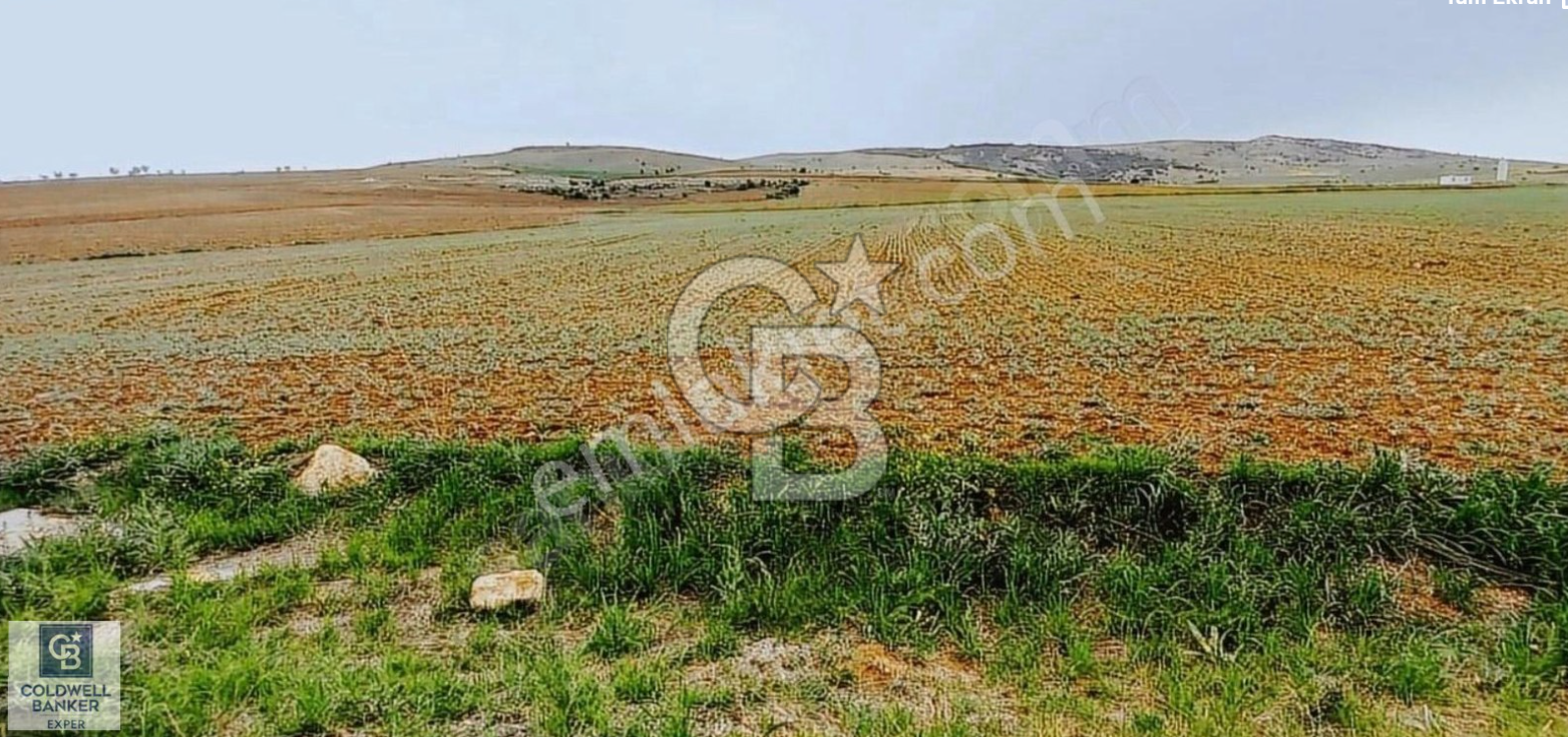 CB EXPER DEN GÖLBAŞINDA TEK TAPU TARLA FIRSATI