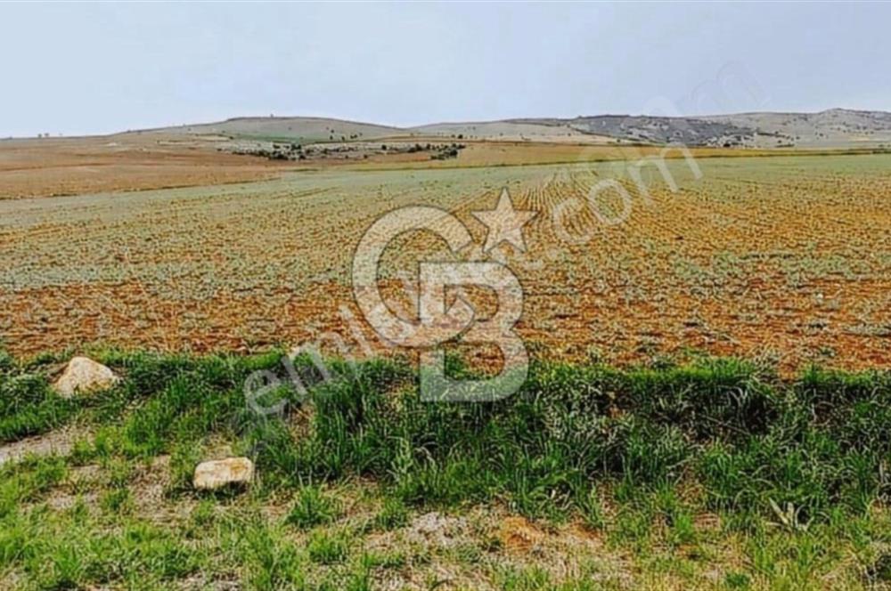 CB EXPER DEN GÖLBAŞI BOYALIK DA TEK TAPU TARLA FIRSATI