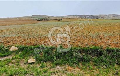 CB EXPER DEN GÖLBAŞI BOYALIK DA TEK TAPU TARLA