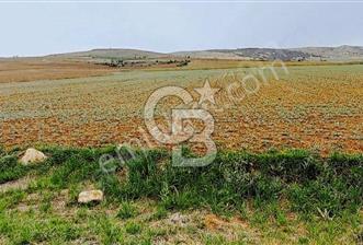 CB EXPER DEN GÖLBAŞINDATEK TAPU TARLA FIRSATI