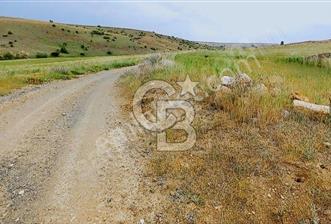 CB EXPER DEN FIRSAT GÖLBAŞI EN GÜZEL KONUMDA TEK TAPU TARLA