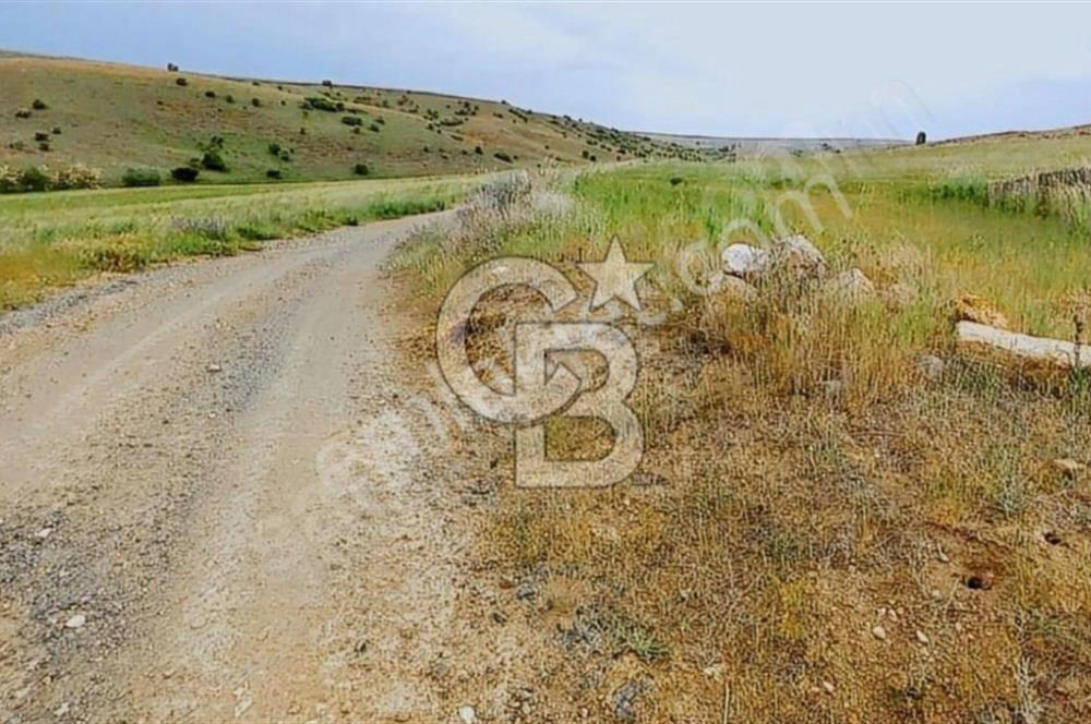 CB EXPER DEN GÖLBAŞINDA TEK TAPU TARLA FIRSATI