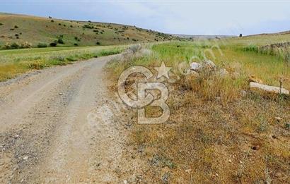 CB EXPER DEN GÖLBAŞINDA TEK TAPU TARLA FIRSATI