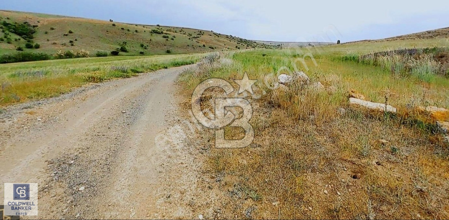 CB EXPER DEN GÖLBAŞI BOYALIK DA TEK TAPU TARLA FIRSATI