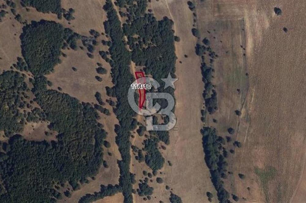 Bilecik Söğütte Yatırımlık  Tarla
