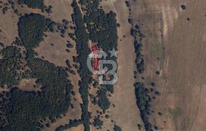 Bilecik Söğütte Yatırımlık  Tarla