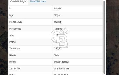 Bilecik Söğütte Yatırımlık  Tarla