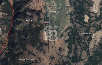 Bilecik Söğütte Yatırımlık  Tarla