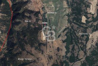 Bilecik Söğütte Yatırımlık  Tarla
