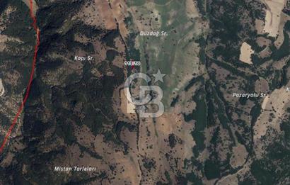 Bilecik Söğütte Yatırımlık  Tarla