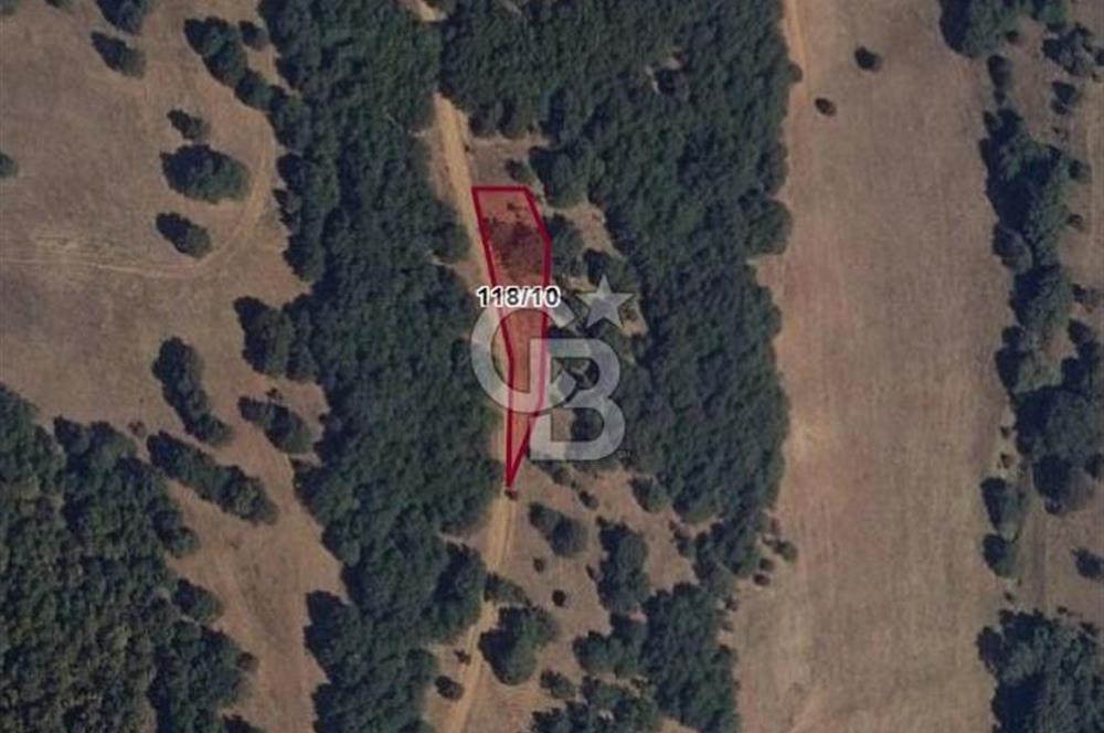 Bilecik Söğütte Yatırımlık  Tarla