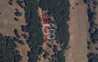 Bilecik Söğütte Yatırımlık  Tarla