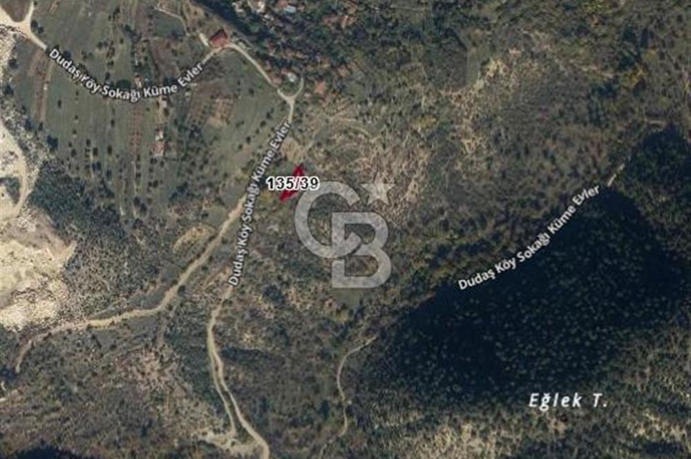 Bilecik Söğüt Dudaş'ta Yatırımlık Bahçe