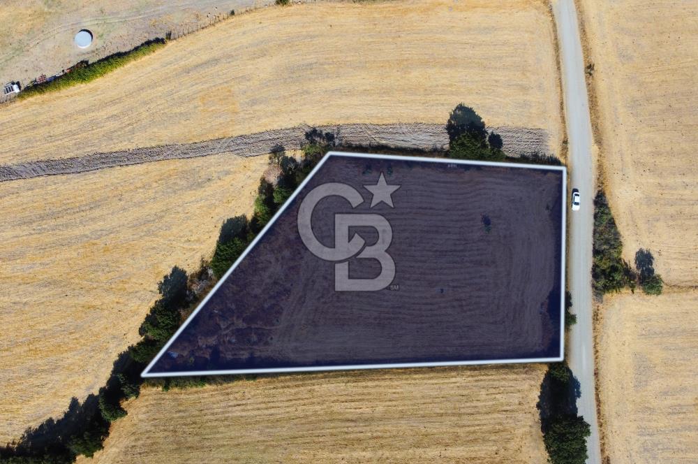 Çanakkale Lapseki Şahinli Köye Yakın Manzaralı 4.650m² Tarla
