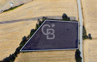 Çanakkale Lapseki Şahinli Köye Yakın Manzaralı 4.650m² Tarla