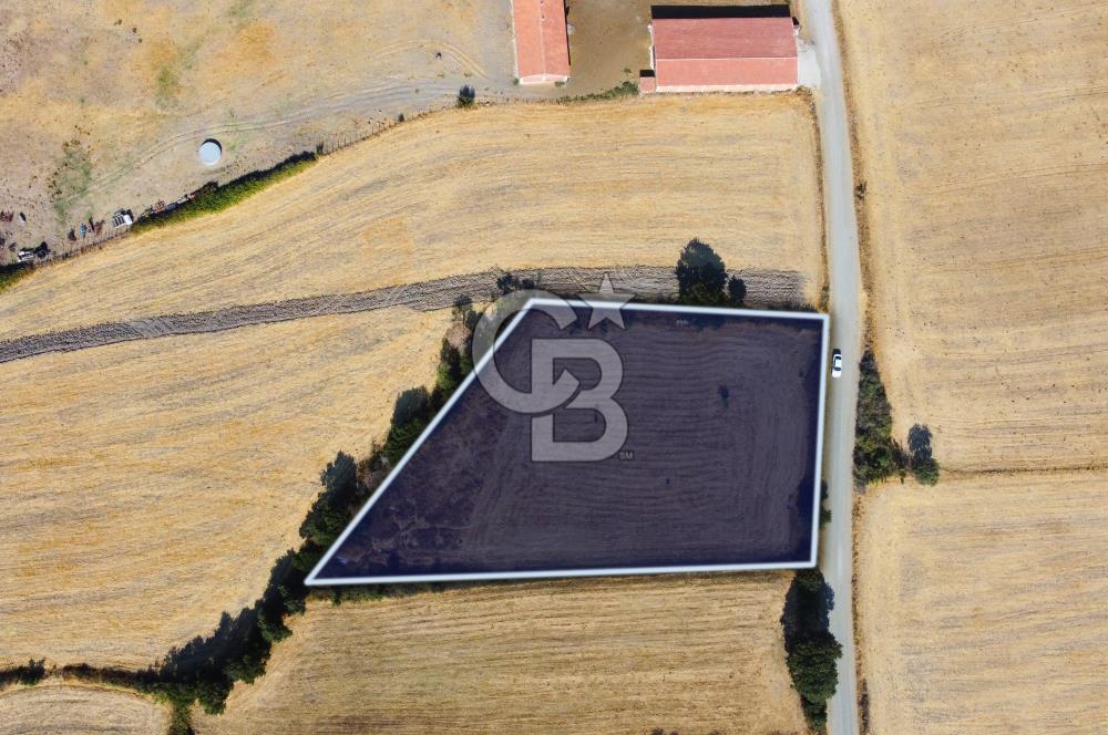 Çanakkale Lapseki Şahinli Köye Yakın Manzaralı 4.650m² Tarla