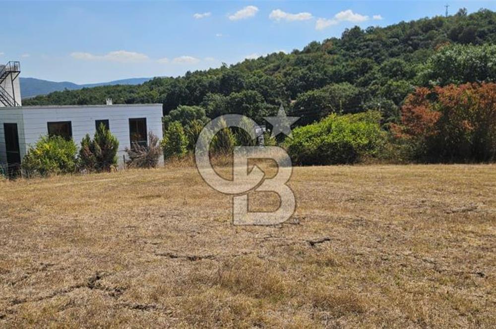 Yalova Termal Akköyde Satılık Deniz Manzaralı 587 m2 arsa!
