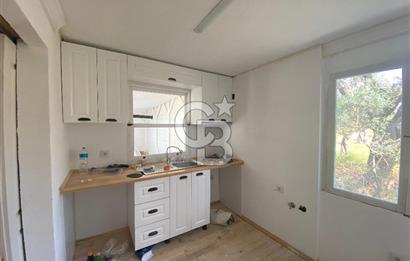 Ayvalık ta doğayla baş başa 4643 m² zeytinlik ve yapı kayıtlı ev