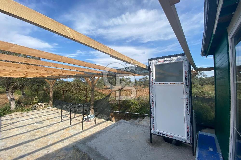 Ayvalık ta doğayla baş başa 4643 m² zeytinlik ve yapı kayıtlı ev