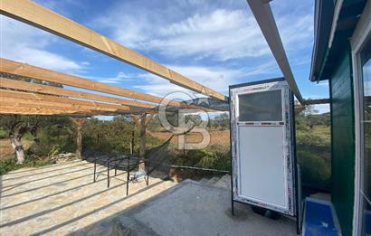 Ayvalık ta doğayla baş başa 4643 m² zeytinlik ve yapı kayıtlı ev