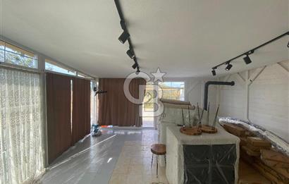 Ayvalık ta doğayla baş başa 4643 m² zeytinlik ve yapı kayıtlı ev
