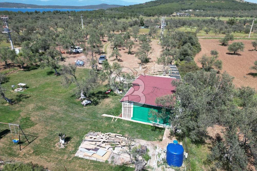 Ayvalık ta doğayla baş başa 4643 m² zeytinlik ve yapı kayıtlı ev