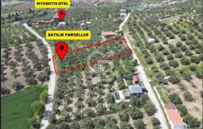 FOÇA ILIPINAR'DA SATILIK HOBİ BAHÇESİ