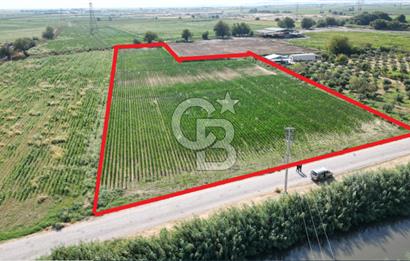 MENEMEN ULACAKTA OTOYOLA YAKIN KONUMDA 14.386m2 TARLA