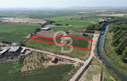MENEMEN ULACAKTA OTOYOLA YAKIN KONUMDA 14.386m2 TARLA