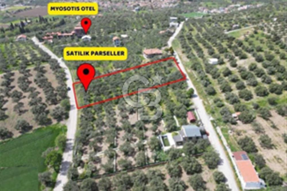 FOÇA ILIPINAR'DA SATILIK HOBİ BAHÇESİ
