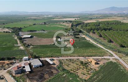 MENEMEN ULACAKTA OTOYOLA YAKIN KONUMDA 14.386m2 TARLA