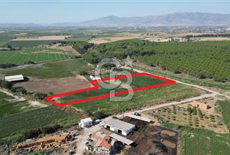 MENEMEN ULACAKTA OTOYOLA YAKIN KONUMDA 14.386m2 TARLA