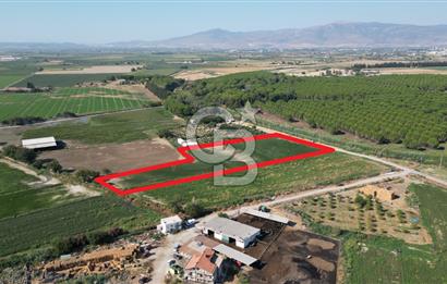 MENEMEN ULACAKTA OTOYOLA YAKIN KONUMDA 14.386m2 TARLA