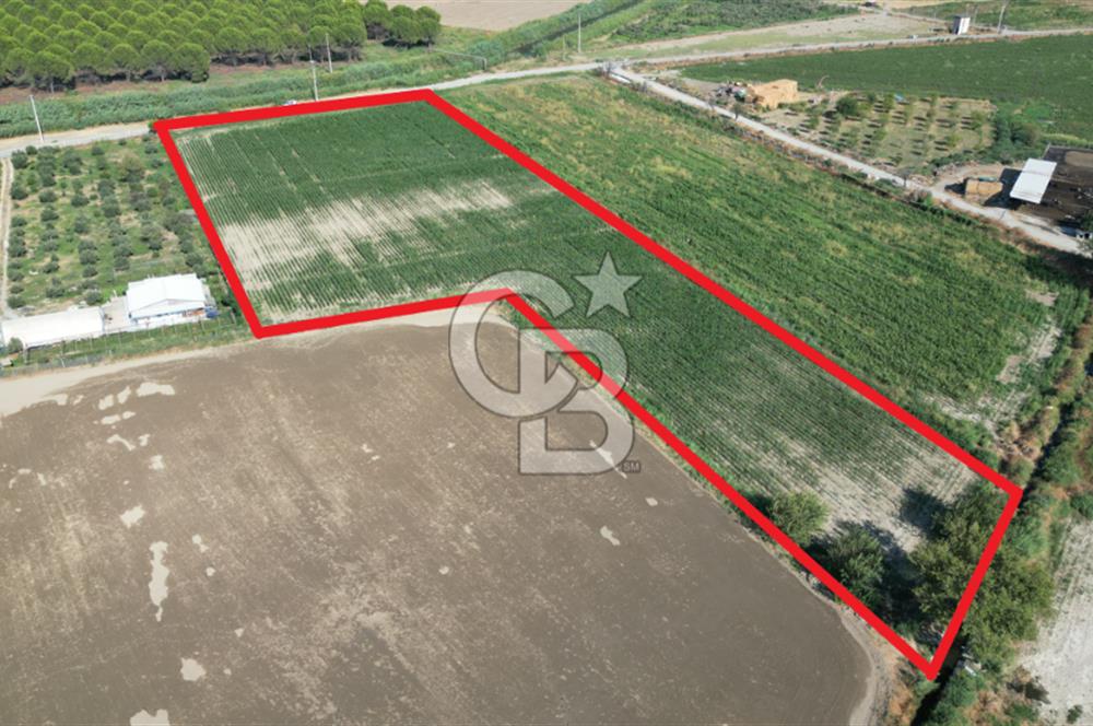 MENEMEN ULACAKTA OTOYOLA YAKIN KONUMDA 14.386m2 TARLA