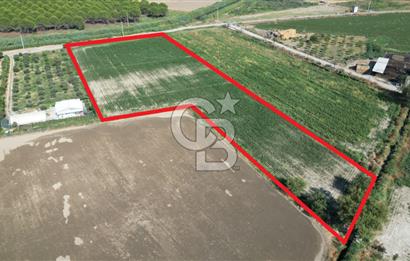 MENEMEN ULACAKTA OTOYOLA YAKIN KONUMDA 14.386m2 TARLA