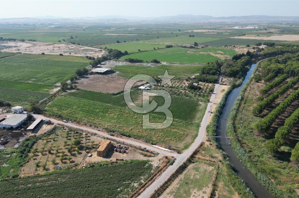 MENEMEN ULACAKTA OTOYOLA YAKIN KONUMDA 14.386m2 TARLA