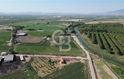 MENEMEN ULACAKTA OTOYOLA YAKIN KONUMDA 14.386m2 TARLA