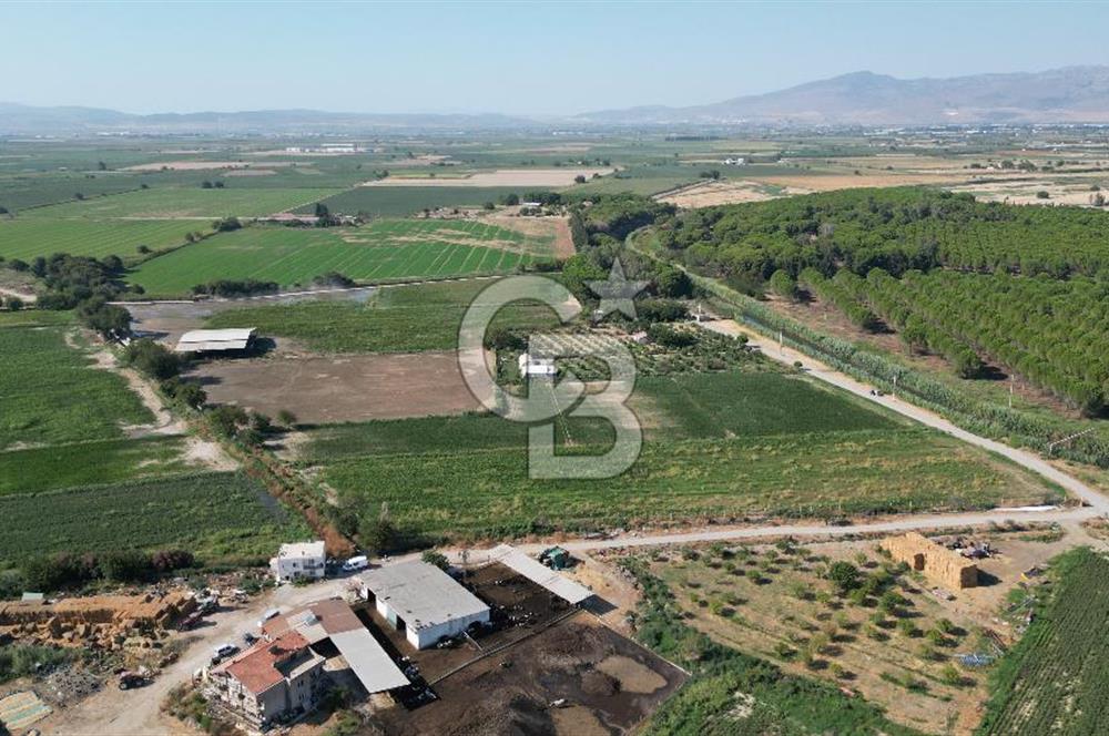 MENEMEN ULACAKTA OTOYOLA YAKIN KONUMDA 14.386m2 TARLA