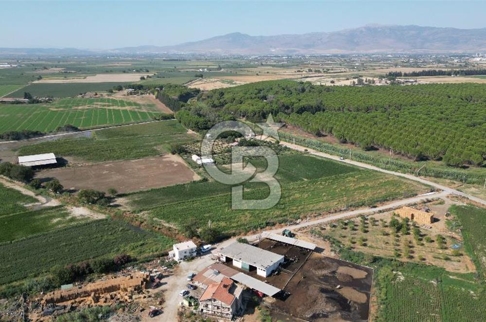 MENEMEN ULACAKTA OTOYOLA YAKIN KONUMDA 14.386m2 TARLA