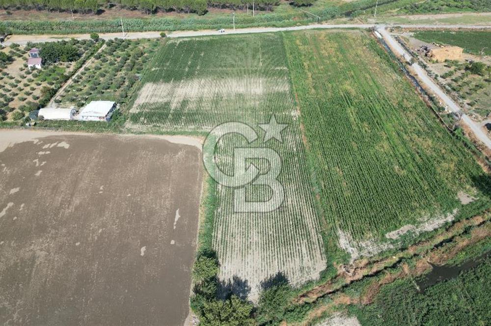 MENEMEN ULACAKTA OTOYOLA YAKIN KONUMDA 14.386m2 TARLA