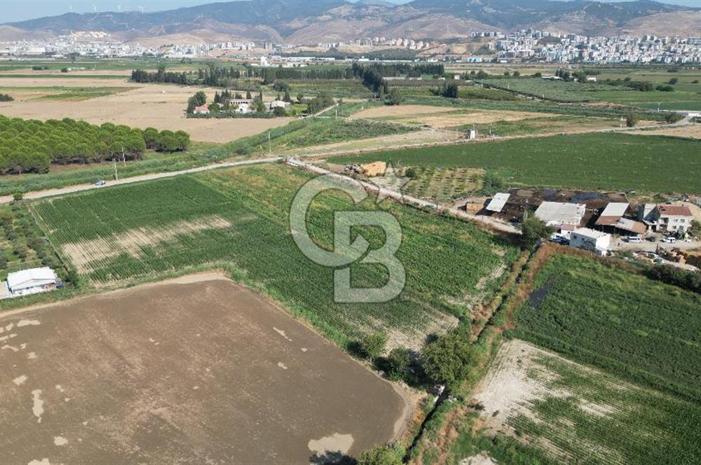 MENEMEN ULACAKTA OTOYOLA YAKIN KONUMDA 14.386m2 TARLA