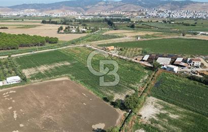 MENEMEN ULACAKTA OTOYOLA YAKIN KONUMDA 14.386m2 TARLA