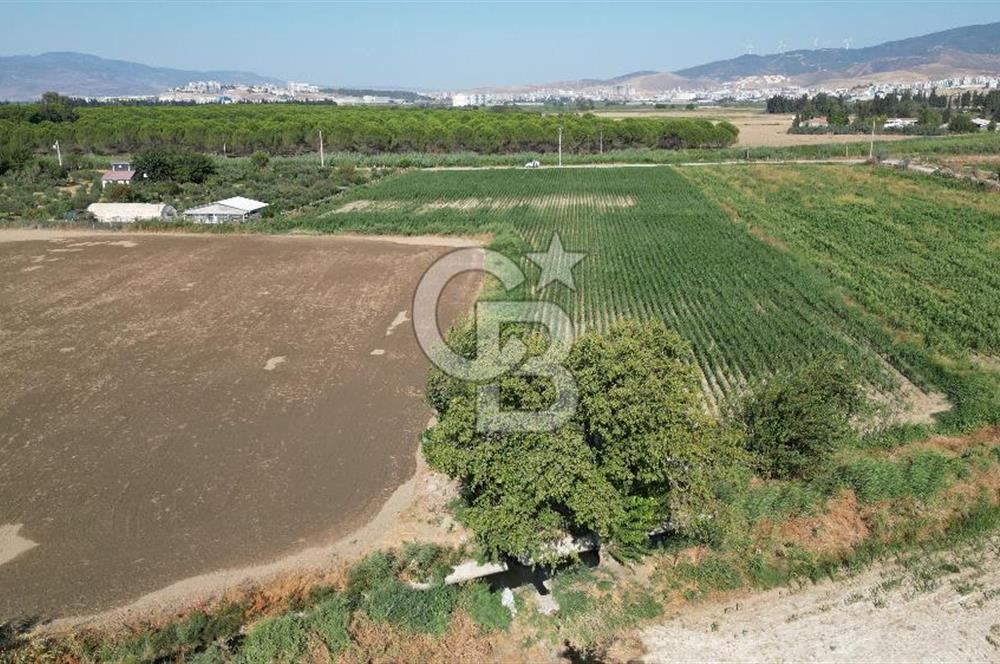 MENEMEN ULACAKTA OTOYOLA YAKIN KONUMDA 14.386m2 TARLA