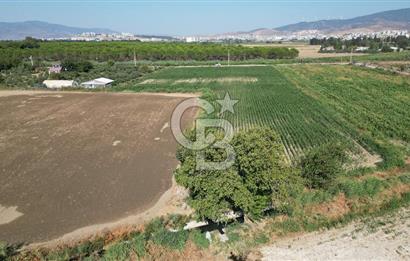 MENEMEN ULACAKTA OTOYOLA YAKIN KONUMDA 14.386m2 TARLA