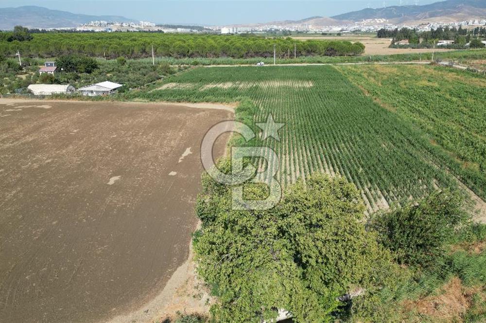 MENEMEN ULACAKTA OTOYOLA YAKIN KONUMDA 14.386m2 TARLA