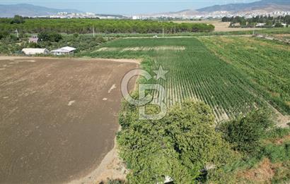 MENEMEN ULACAKTA OTOYOLA YAKIN KONUMDA 14.386m2 TARLA