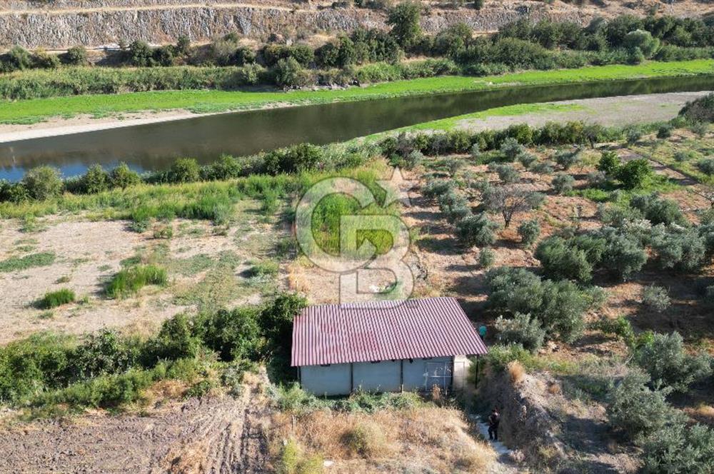 MENEMEN SÜLEYMANLIDA GEDİZ NEHRİ KENARINDA 571M2 HOBİ BAHÇELİ EV