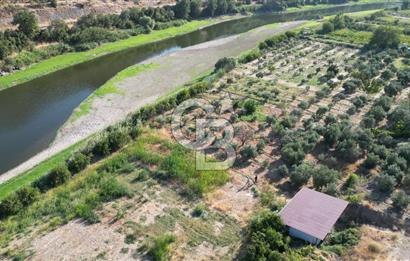 MENEMEN SÜLEYMANLIDA GEDİZ NEHRİ KENARINDA 571M2 HOBİ BAHÇELİ EV