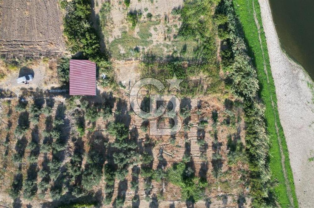 MENEMEN SÜLEYMANLIDA GEDİZ NEHRİ KENARINDA 571M2 HOBİ BAHÇELİ EV